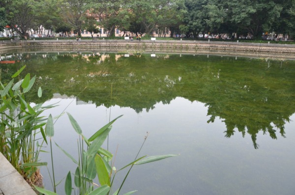 1542155987103698.jpg 广西壮族自治区党委书记彭清华视察888电子游戏项目3-000db224-8d89-4403-afb3-12ffb9713335.jpg