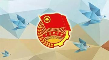 888电子游戏团委简介