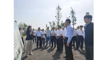 泗阳县党政代表团莅临泗洪888电子游戏考察