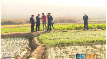 《逐日新闻》：个旧市鸡街镇倘甸双河流域土壤改良修复树模项目希望顺遂