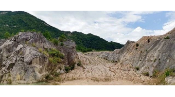 888电子游戏土壤修复营业又双叒叕传喜讯