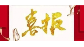 博环中标广东阳东经济开发区、珠海（阳江万象）工业转移工业园情形管家效劳采购项目
