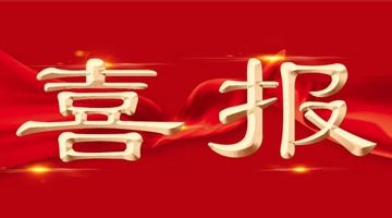 888电子游戏股份加入项目荣获中国轻工业团结会科学手艺前进一等奖